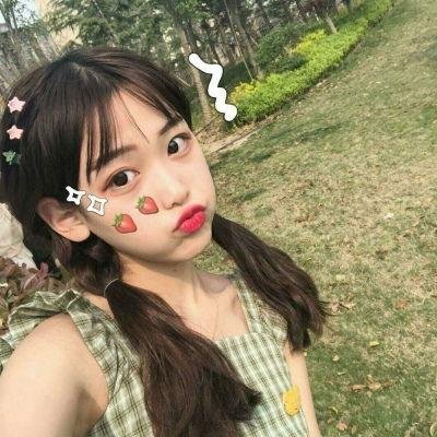 森林随处可见
